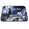 Harry Potter Carpet Mat 40x60cm Memory, Bathroom, Rugs, Children's Room