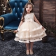 Little Girl Princess Dress Tulle and Lace Ceremony Party Prom 4-10years A/01