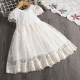 Girls Dress Embroidered Tulle Lace Princess Ceremony Party Prom 3-7