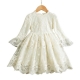 Girls Dress Embroidered Tulle Lace Princess Ceremony Party Prom 3-7