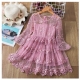 Girls Dress Pink Embroidered Tulle Lace Princess Ceremony Party Prom 3-7