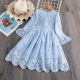 Girls Dress Blue Embroidered Tulle Lace Princess Ceremony Party Prom 3-7