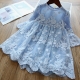 Girls Dress Blue Embroidered Tulle Lace Princess Ceremony Party Prom 3-7