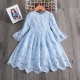 Girls Dress Blue Embroidered Tulle Lace Princess Ceremony Party Prom 3-7