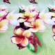 Magnolia Quilt Lightweight Bedspread for a Queen Size Bed 200x220cm mod.1