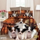 Cats Set 2 pieces Single Bed Duvet Cover 160x200cm Two Reversible Pillowcases m10