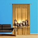 Cats Cat Voile Curtain Children's Room, Boys Panel 140x245cm