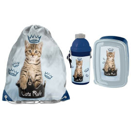 Cat Blue Set Bag Bag Backpack Flat Box Lunch Box Bottle 500ml