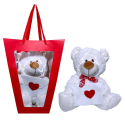 White Plush Bear 35cm with Letter in Valentine's Day Gift Bag