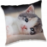 Cuscino Gatto Gattino 40x40cm Decorativo in Microfibra Bambini