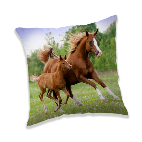 Cat Kitten Decorative Cushion 40x40cm in Microfiber Children