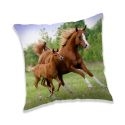 Brown Horse Cushion 40x40cm Decorative Microfiber Children Sofa Bed