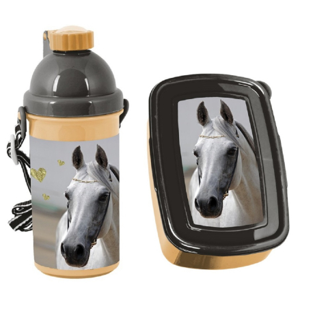 Set lunch Box + Automatic Bottle School