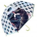 Jurassic World Transparent Umbrella Children Boys Parasol Rain Cover