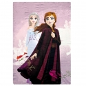 Frozen Disney Principesse Coperta Plaid 100x140cm in Polar Fleece Blanket